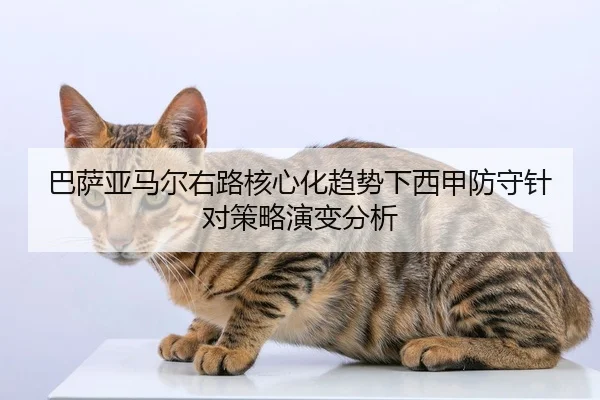 巴萨亚马尔右路核心化趋势下西甲防守针对策略演变分析