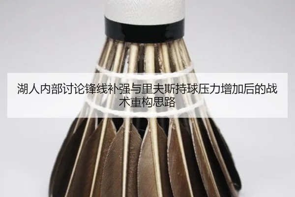 湖人内部讨论锋线补强与里夫斯持球压力增加后的战术重构思路